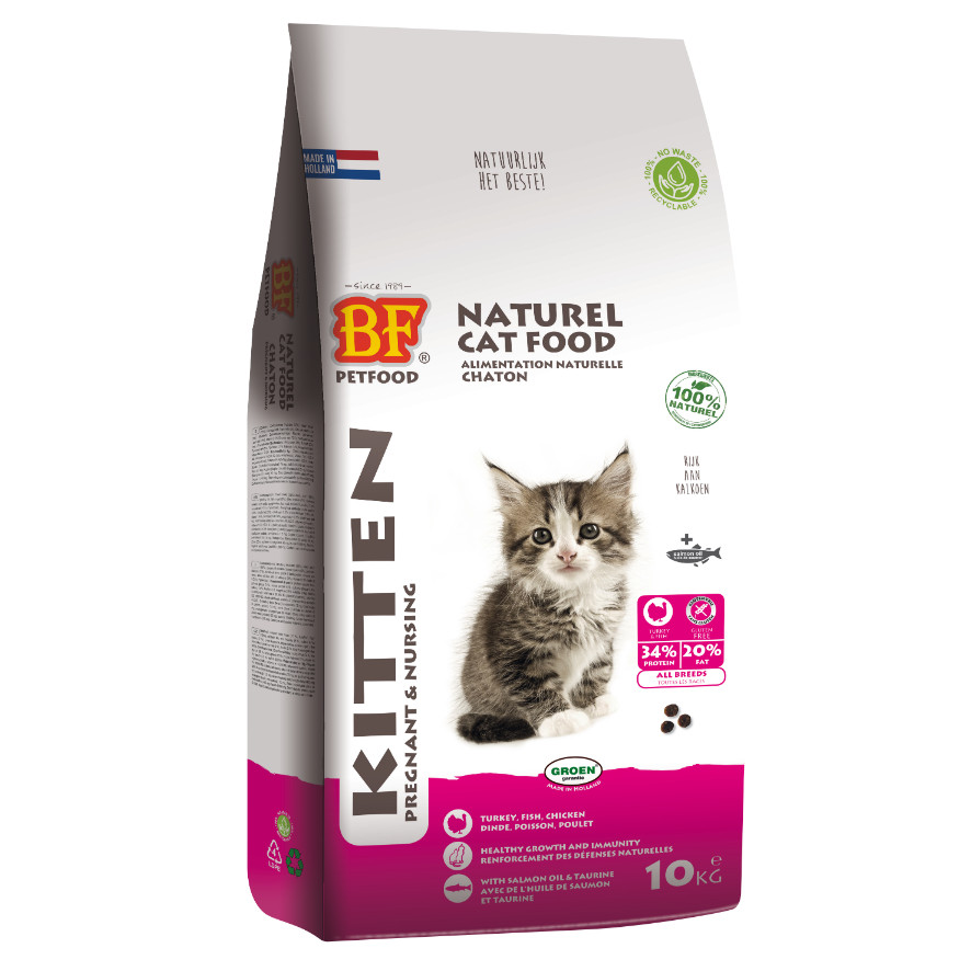 BF Petfood Kitten Pregnant & Nursing per gatti