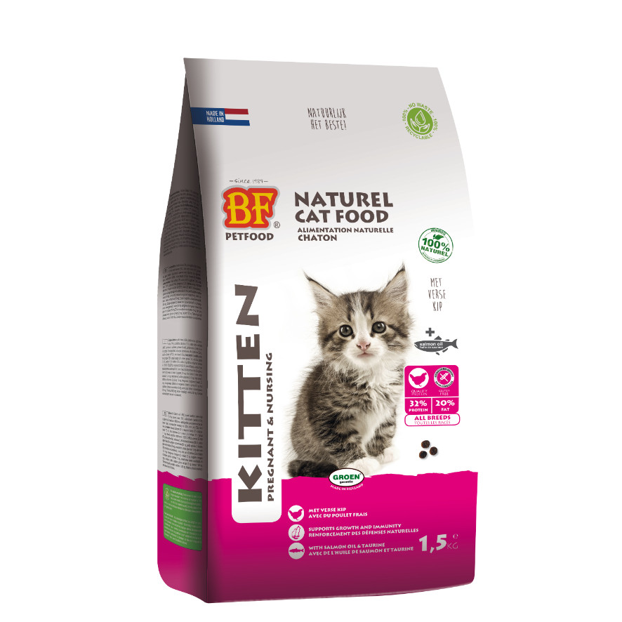 BF Petfood Kitten Pregnant & Nursing per gatti