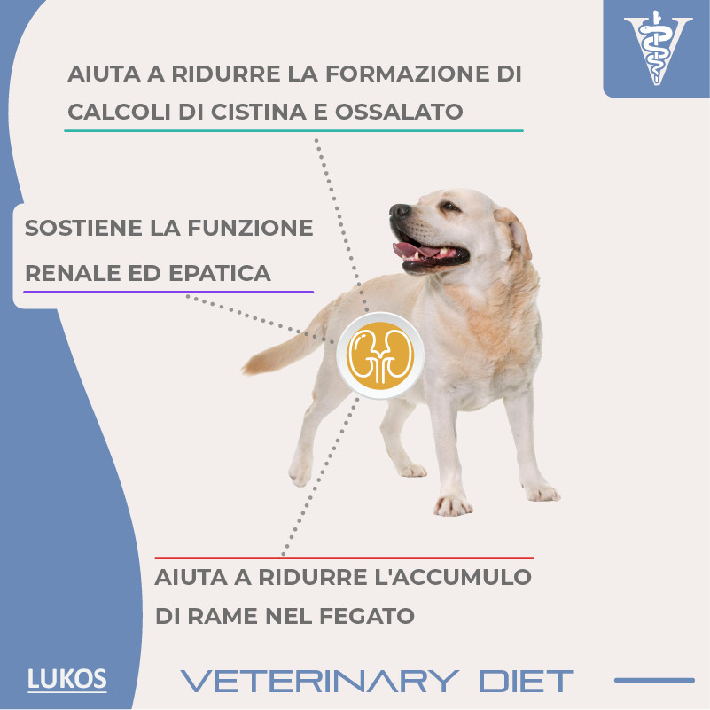 Lukos Veterinary Diet Renal hondenvoer