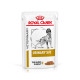 Royal Canin Veterinary Urinary S/O in salsa cibo umido per cane