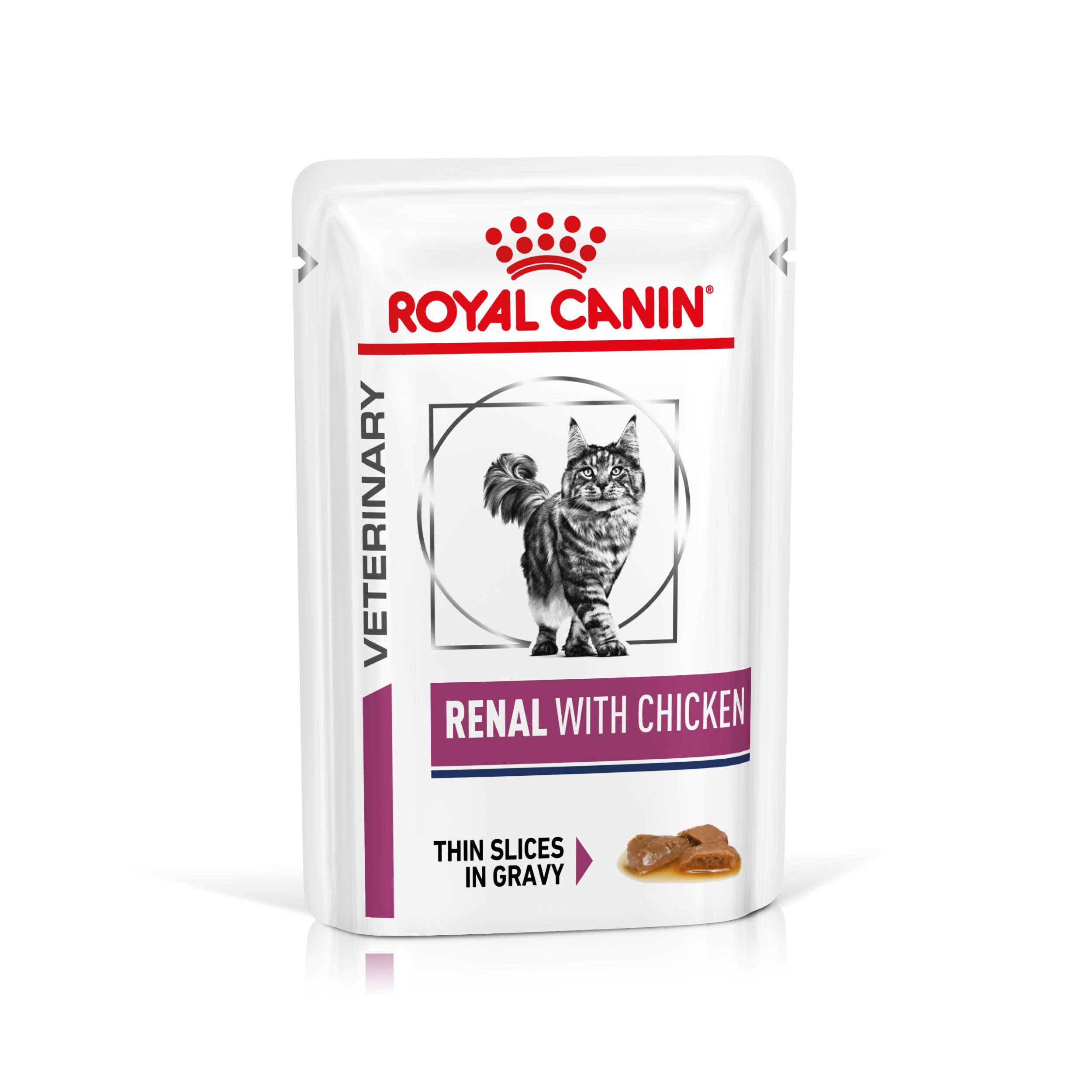 Royal Canin Veterinary Renal con pollo cibo umido per gatto