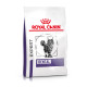 Royal Canin Expert Dental per gatto